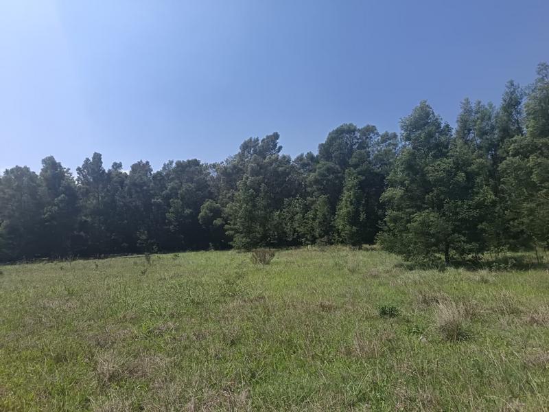 0 Bedroom Property for Sale in Albertinia Western Cape